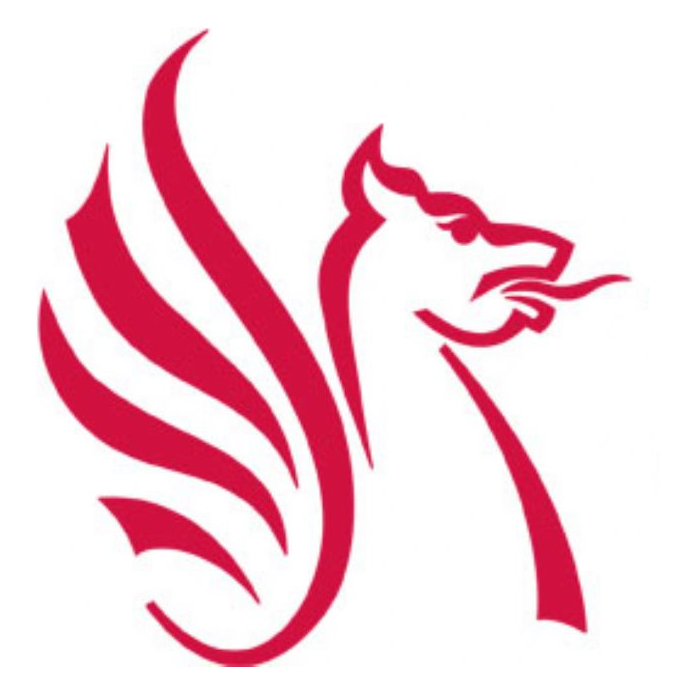 ILLY Systems and North Somerset Council: A Case Study